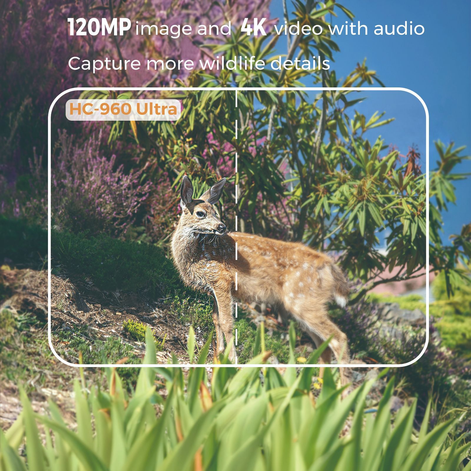 Kamera leśna 4G z podczerwieni – Hunting Outdoor Camera recenzja i cena